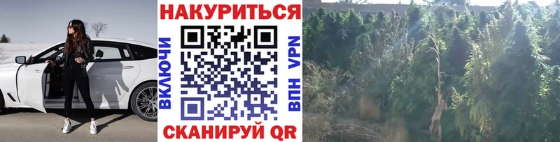 Где купить наркотики Приволжский Гашиш  МАРИХУАНА  NBOMe  Метамфетамин  Меф  Alpha PVP  АМФ  COCAIN 