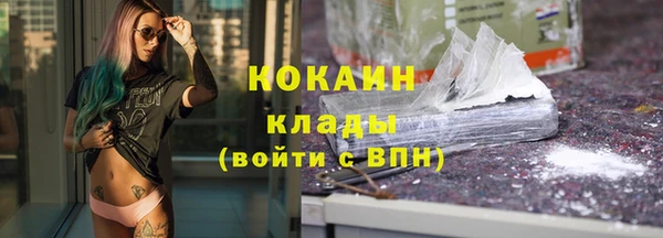 apvp Богданович