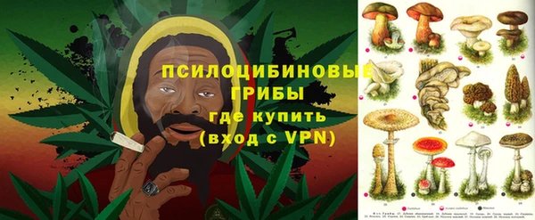 apvp Богданович