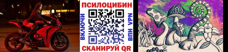 закладки  Приволжский  Псилоцибиновые грибы ЛСД 